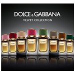 Dolce Gabbana (D&G) Velvet Cypress