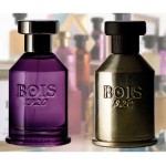 Bois 1920 Spigo 1920