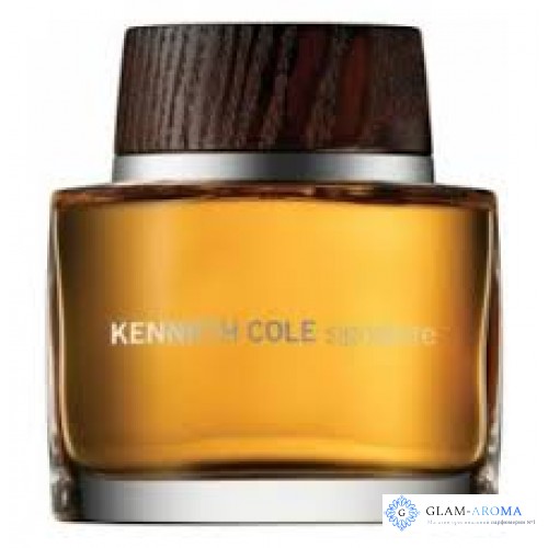 Kenneth Cole Signature men