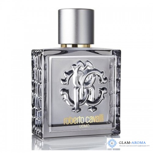 Roberto Cavalli Uomo Silver Essence