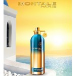 Montale Day Dreams