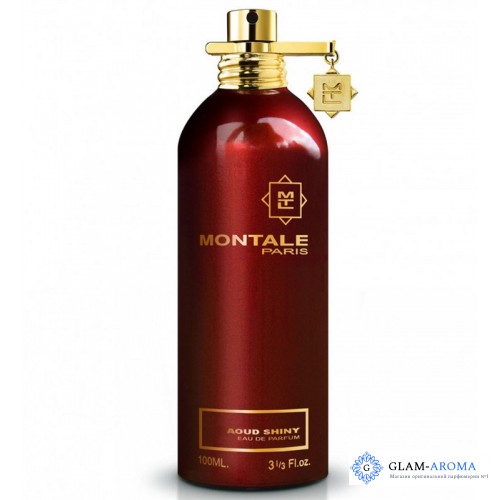 Montale Aoud Shiny