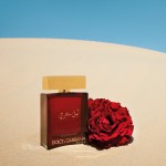 Dolce Gabbana (D&G) The One Mysterious Night