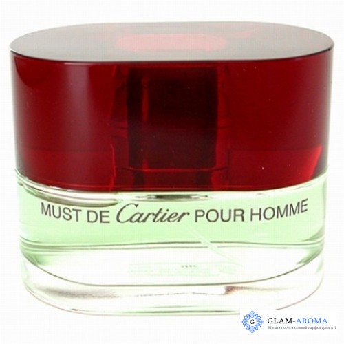 Cartier Must De Cartier For Men