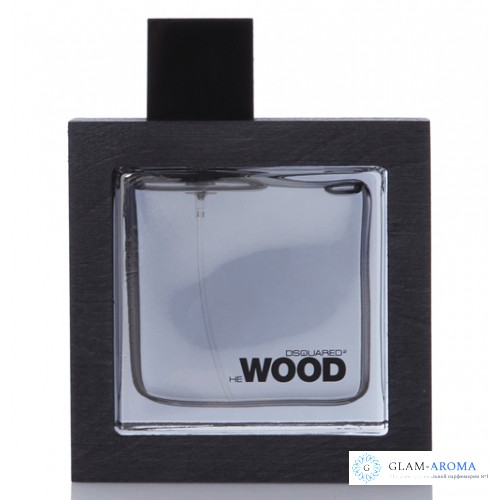 Dsquared2 He Wood Silver Wind Wood