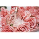 Donna Karan Pure A Drop Of Rose