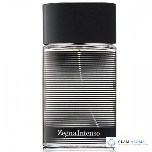 Ermenegildo Zegna Zegna Intenso