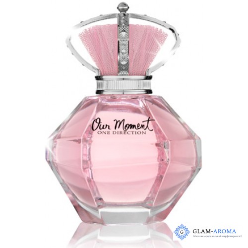 One Direction Our Moment