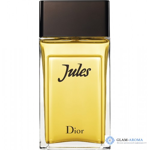 Christian Dior Jules 2016