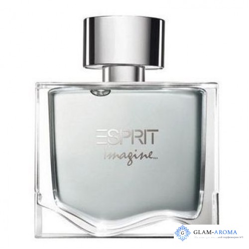 Esprit Imagine Men