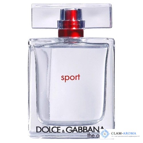 Dolce And Gabbana The One Sport