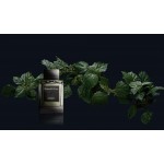 Ermenegildo Zegna Javanese Patchouli