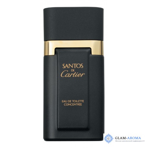 Cartier Santos Concentree